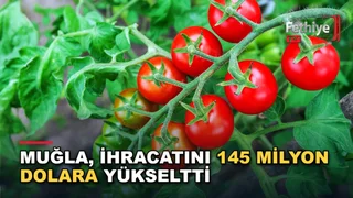Muğla ihracat verilerinde su ürünleri sektörünün etkisiyle dikkat çeken artış