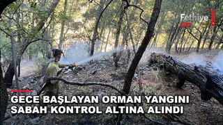 Dalaman'da ulaşımı güç bölgede çıkan orman yangınına orman ekipleri sabah saatlerinde müdahale etti.