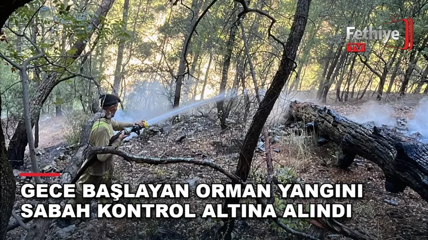 Dalaman'da ulaşımı güç bölgede çıkan orman yangınına orman ekipleri sabah saatlerinde müdahale etti.