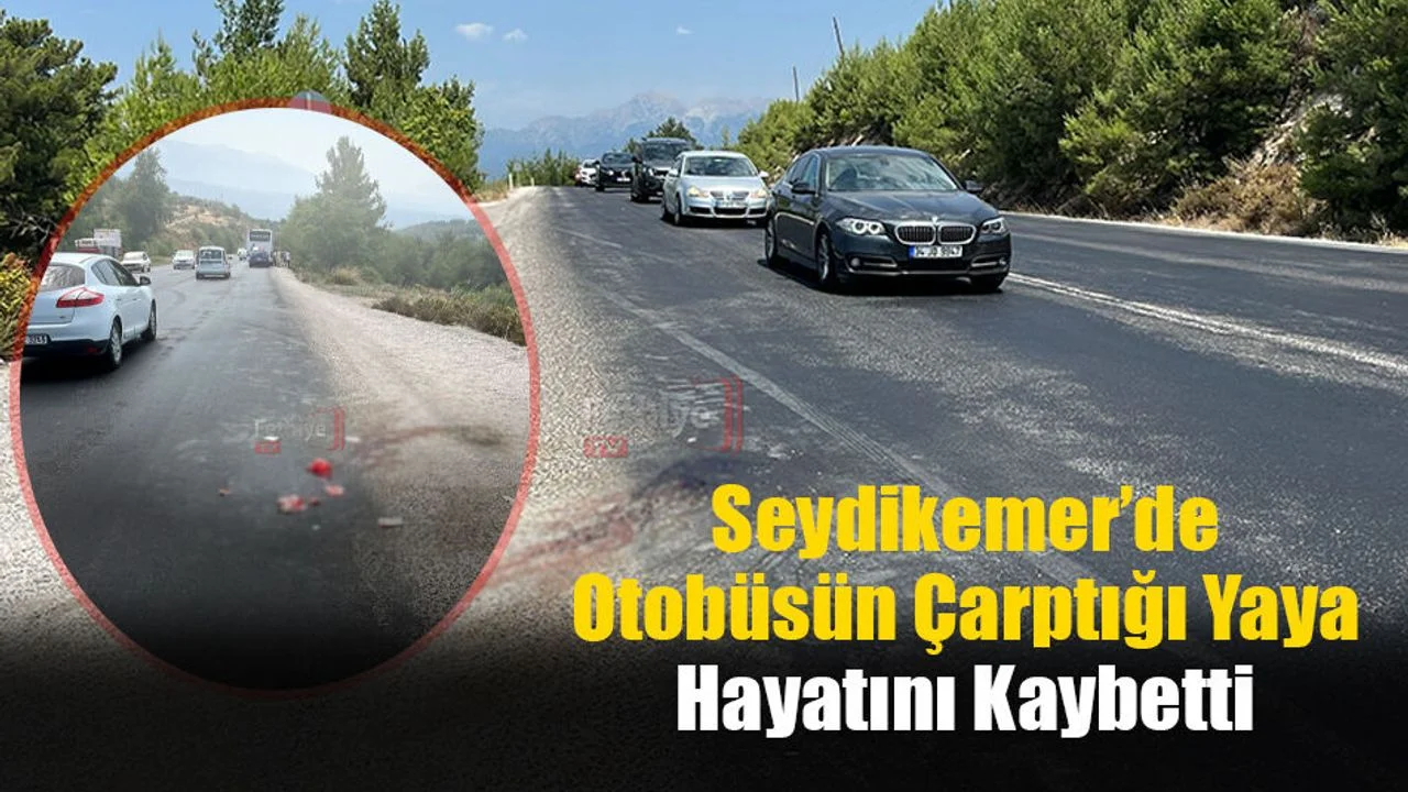 Seydikemer’de Otobüsün Çarptığı Yaya, Hayatını Kaybetti