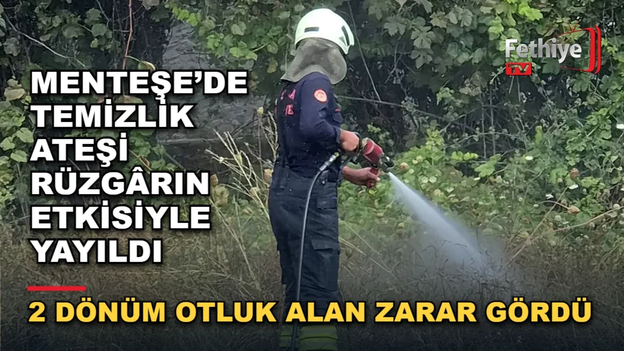 Menteşe'de rüzgarın etkisiyle yayılan yangına itfaiye ekipleri müdahale etti