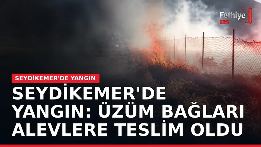 Yayla Ceylan Mahallesi'nde üzüm bağlarında çıkan yangına ekiplerin müdahalesi