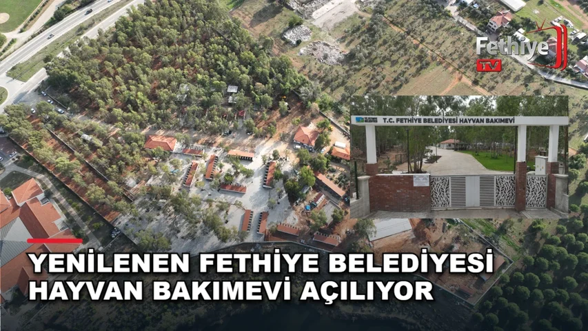 Fethiye Belediyesi Hayvan Bakımevi'nin yenilenen tedavi birimlerinin açılış töreni Çatalarık'ta yapılacak