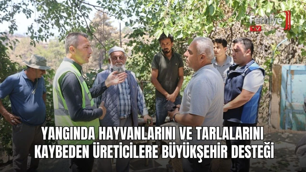 Yangında Hayvanlarını Ve Tarlalarını Kaybeden Üreticilere Büyükşehir Desteği