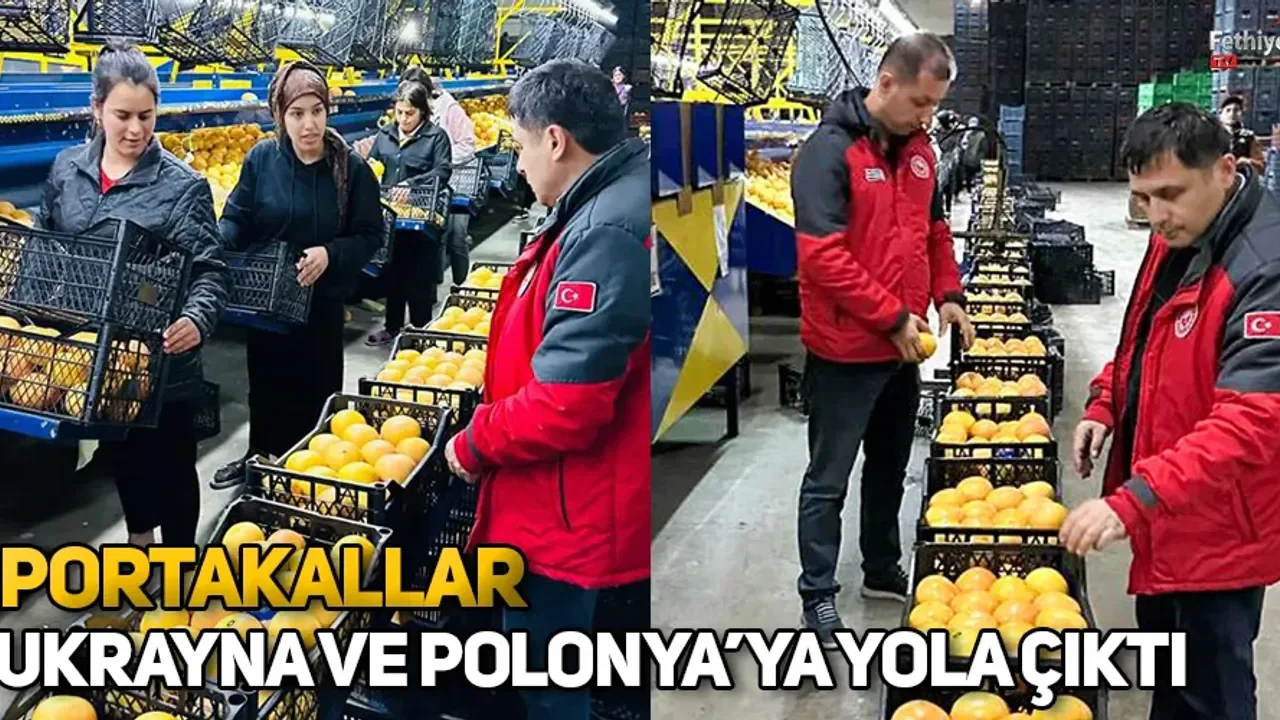 Portakallar Ukrayna Ve Polonya’ya Yola Çıktı