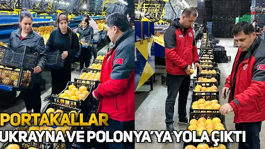 Portakallar Ukrayna Ve Polonya’ya Yola Çıktı