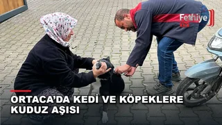 Ortaca'da kedi ve köpeklere kuduz aşısı uygulayan ekipler çalışmalarını sürdürüyor