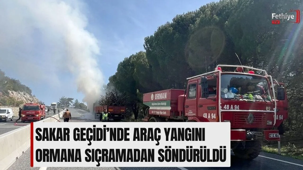 Sakar Geçidi’nde Araç Yangını Ormana Sıçramadan Söndürüldü