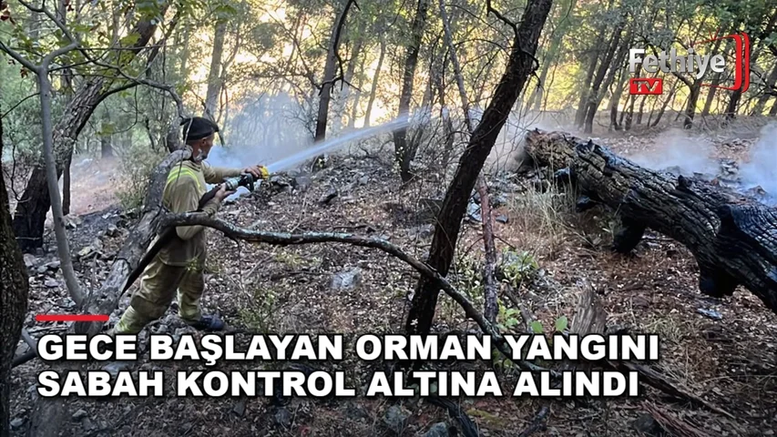 Dalaman'da ulaşımı güç bölgede çıkan orman yangınına orman ekipleri sabah saatlerinde müdahale etti.
