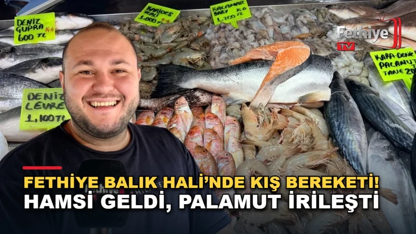 Fethiye Balık Hali'nde hamsi, sardalya ve palamut çeşitleri tezgahlardaki yerini aldı