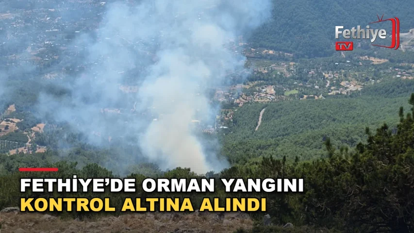 Nif Mahallesi'nde sarp arazide çıkan orman yangınına havadan ve karadan müdahale edildi