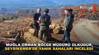 Muğla Orman Bölge Müdürü Mustafa Ülküdür, Seydikemer'de yangından etkilenen sahada inceleme yaptı