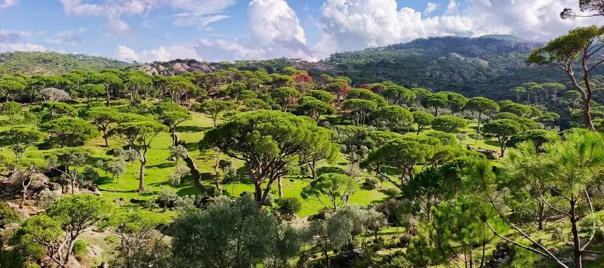 Milas’a Uzanan Latmos İçin Milli Park Çağrısı