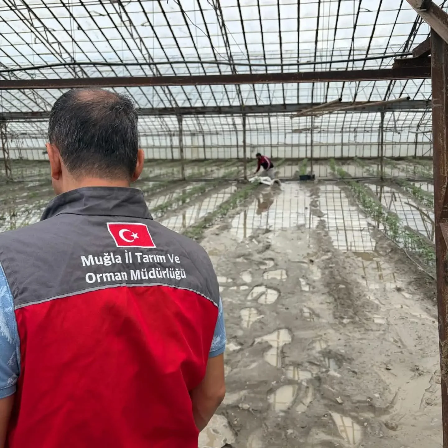 Kumluova’da Aşırı Yağış Seraları Su Altında Bıraktı