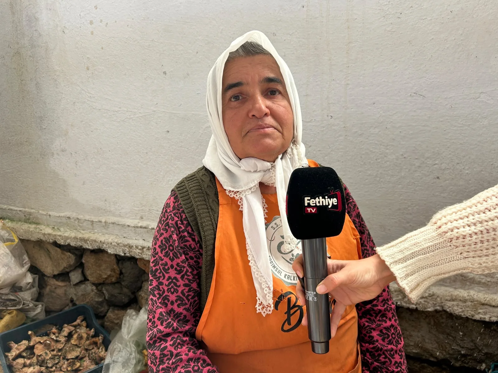Fethiye’de Çıntar Mantarının Fiyatı 200 Liraya Kadar Düştü