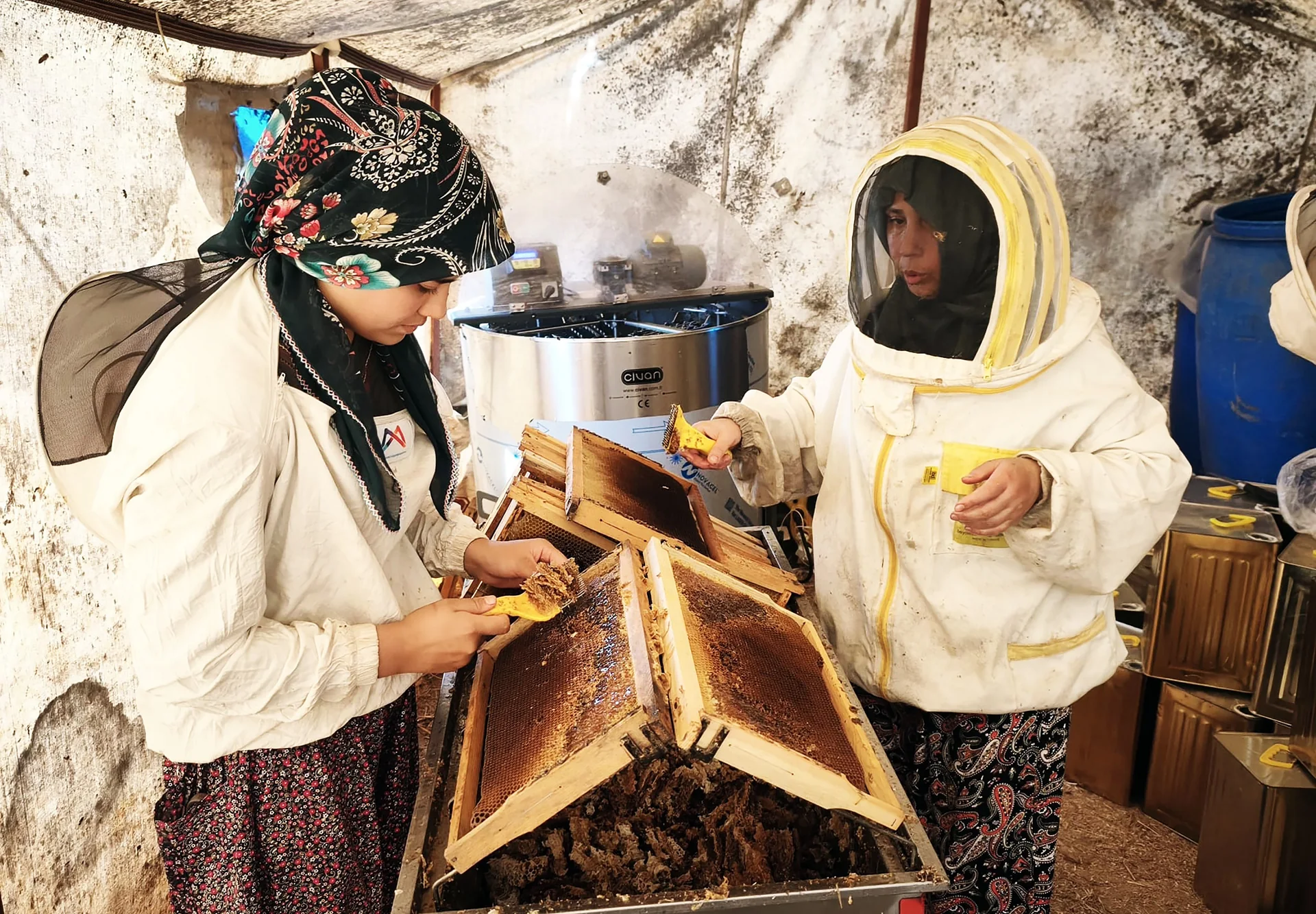 Muğlalı Arıcılar Tepkili: “Saf Balımızın Değeri Yok”