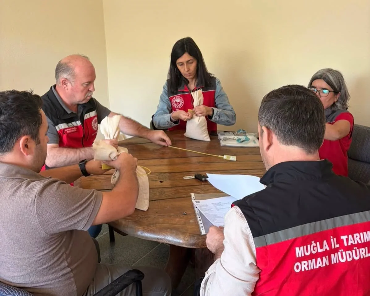 9 Bin 950 Dekarda Sertifikalı Buğday Tohumu Üretildi