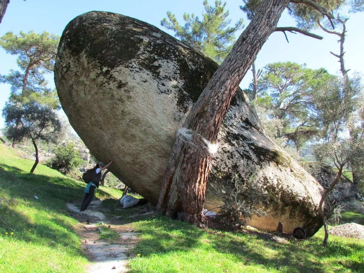 Milas’a Uzanan Latmos İçin Milli Park Çağrısı