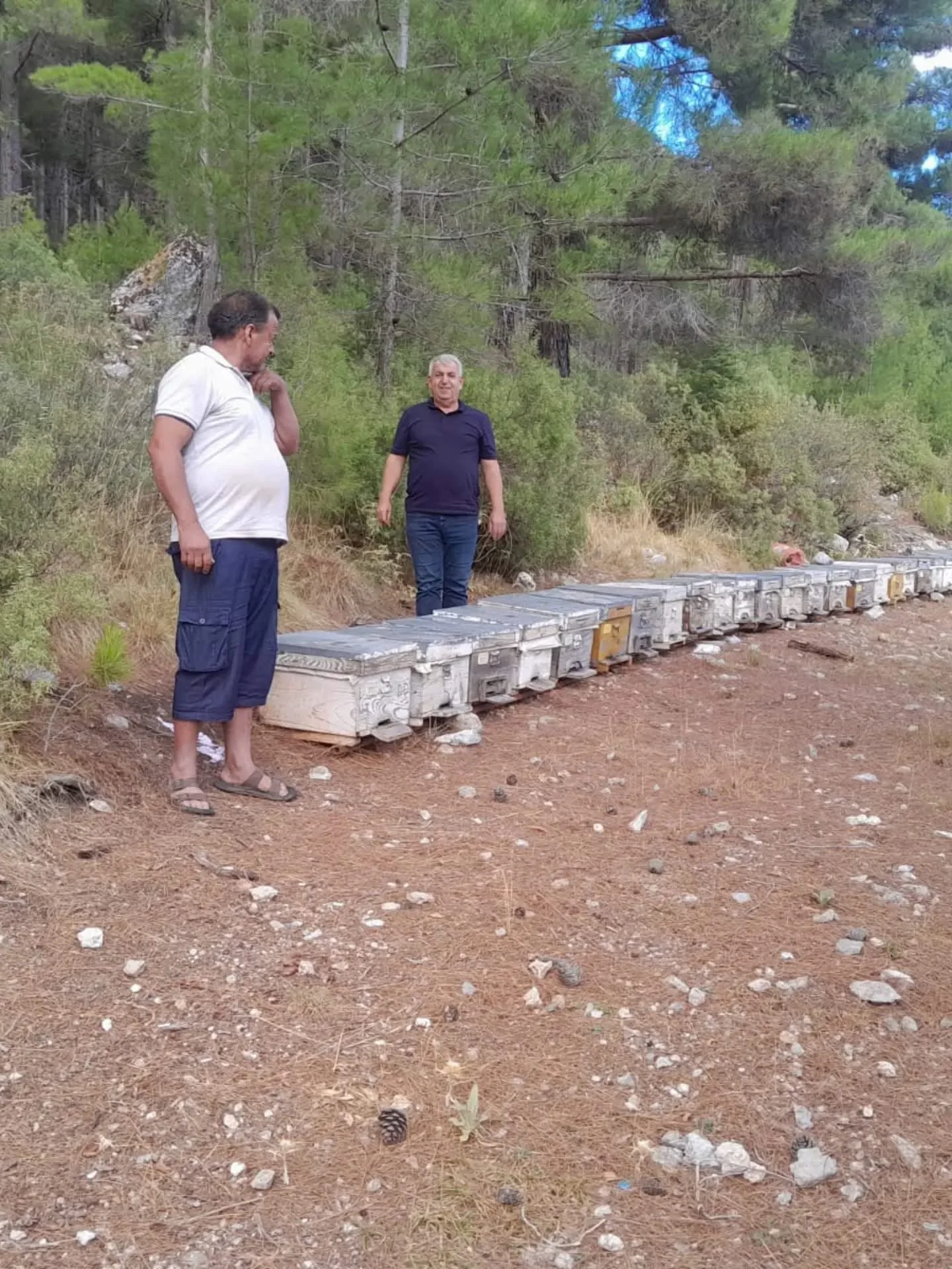 Fethiye’de Arılı Kovan Desteklemesi İçin Saha Kontrolleri Sürüyor