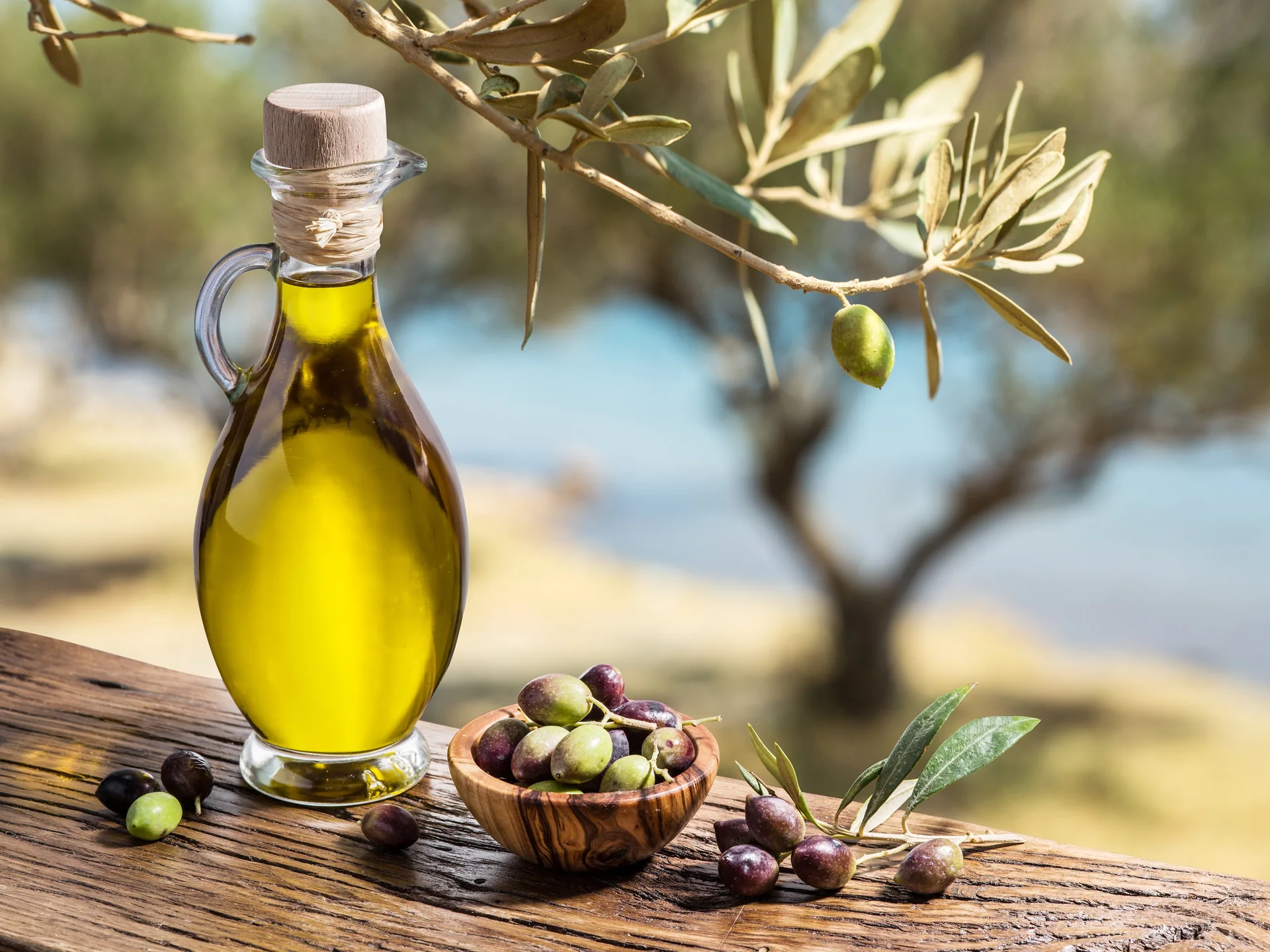 Muğla, Ege Bölgesinin İhracat Artış Lideri