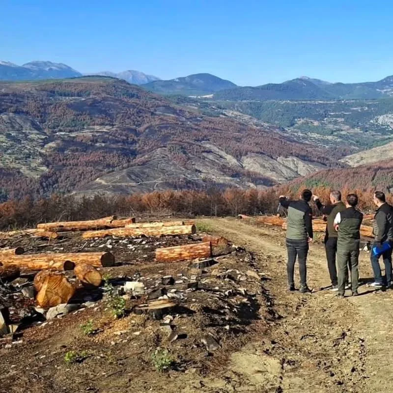 Muğla Orman Bölge Müdürü Ülküdür, Seydikemer’de Yanık Sahaları İnceledi