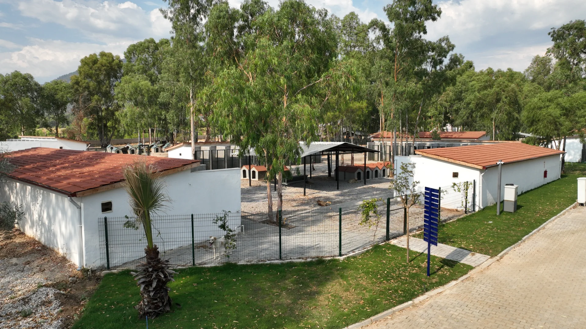 Yenilenen Fethiye Belediyesi Hayvan Bakımevi Açılıyor