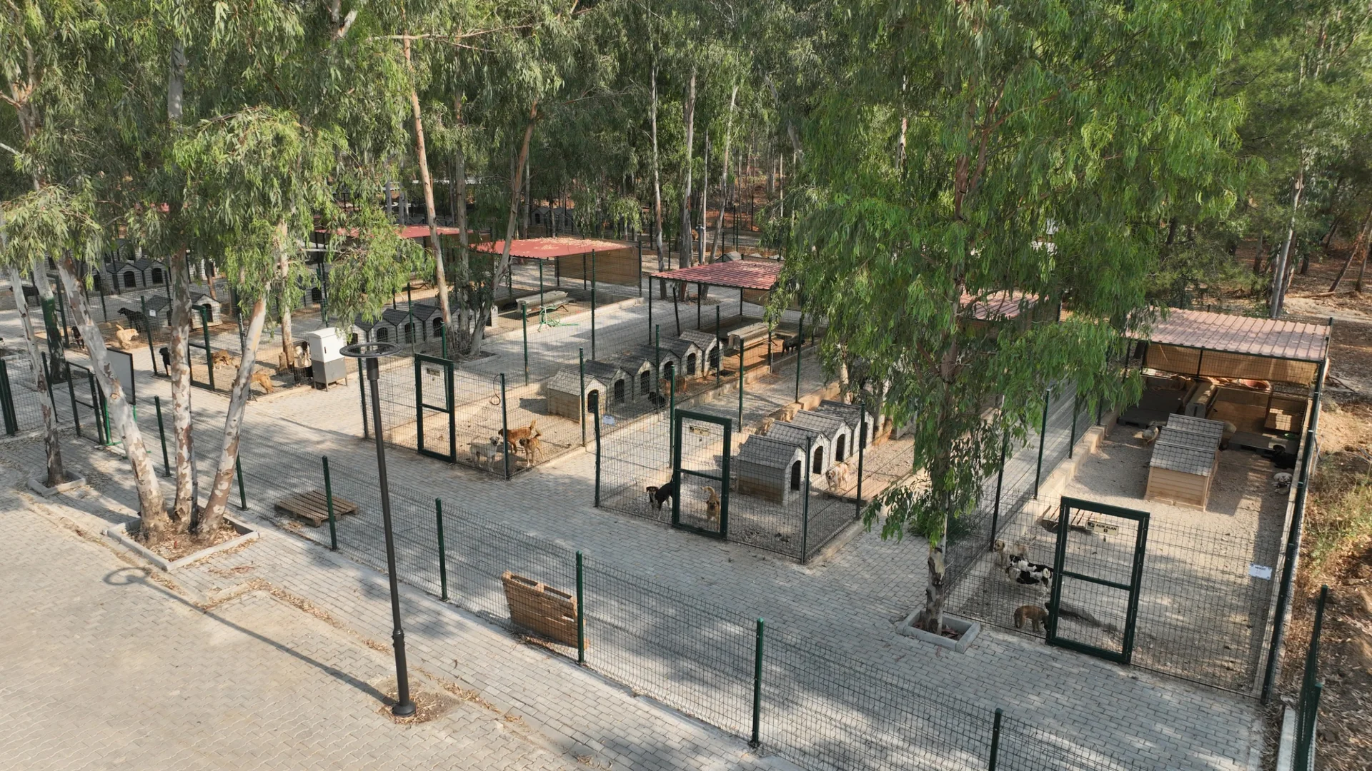 Yenilenen Fethiye Belediyesi Hayvan Bakımevi Açılıyor